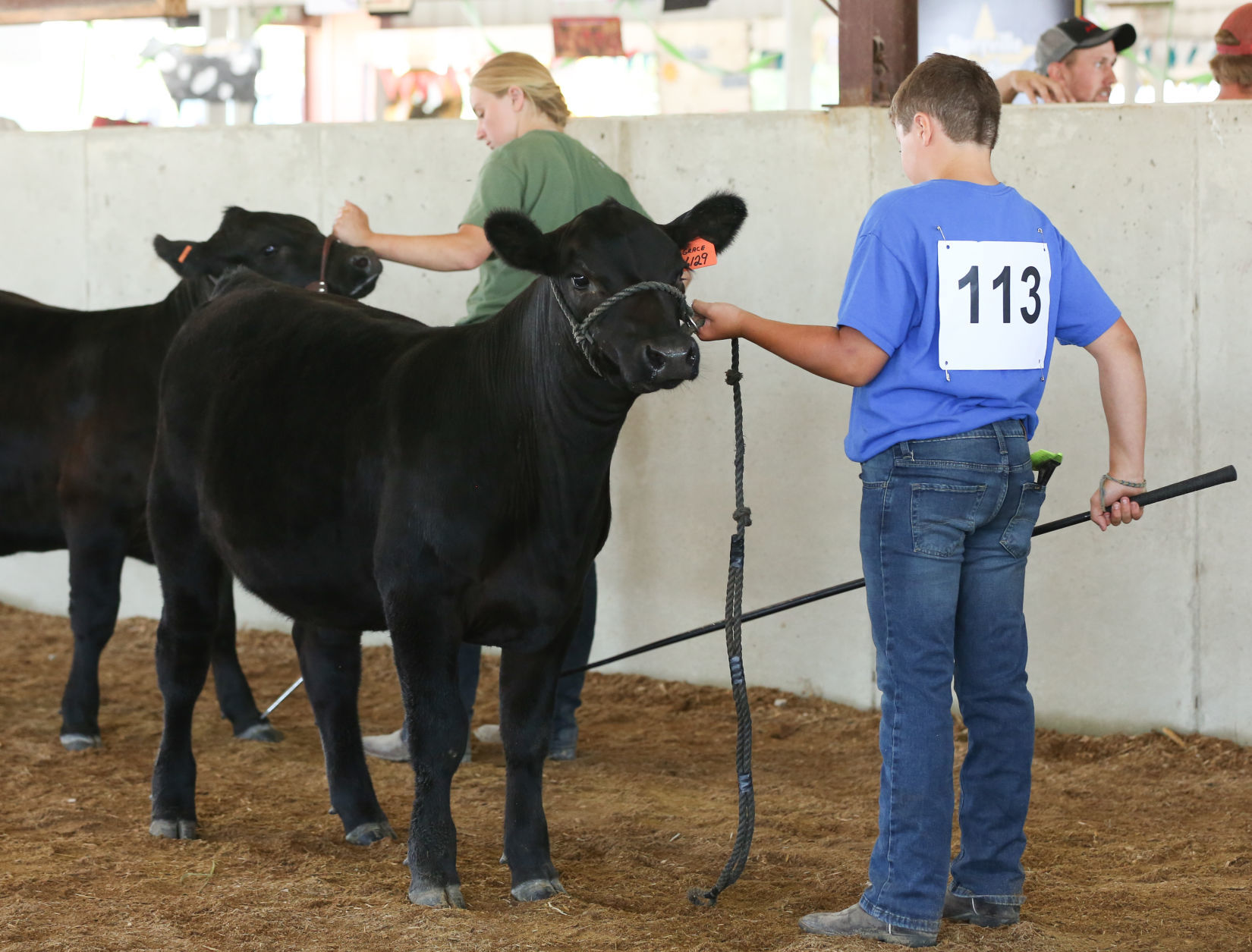 Beef-0214.JPG